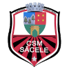 Precizia Sacele
